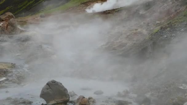 İzlanda'daki jeotermal yerlesim hveragerdi — Stok video