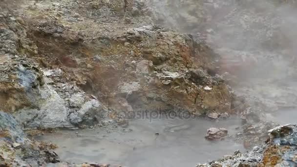 Геотермальна місцевість hveragerdi в Ісландії — стокове відео