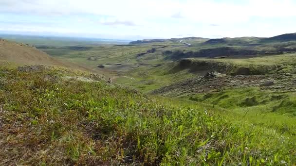 Piękny krajobraz, piesze wycieczki szlakiem laugavegur w Islandii — Wideo stockowe
