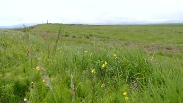 Bellissimo paesaggio naturale in iceland — Video Stock