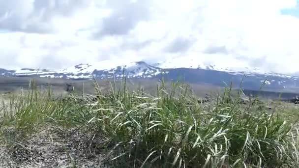 Bellissimo paesaggio naturale in iceland — Video Stock