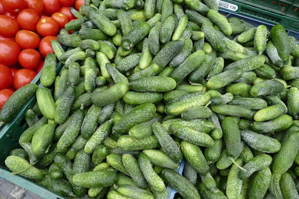 Tometes y pepinos frescos en el mercado — Foto de Stock