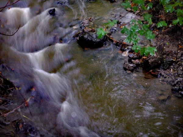 Stream in een bos met een lange blootstelling — Stockfoto
