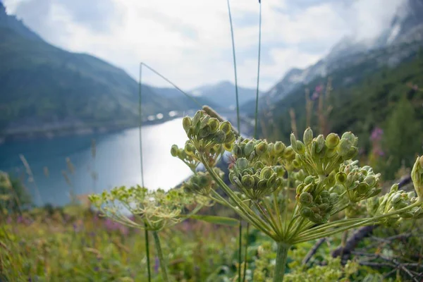 Sjön Lago fedaia i Dolomiterna på marmolada — Stockfoto