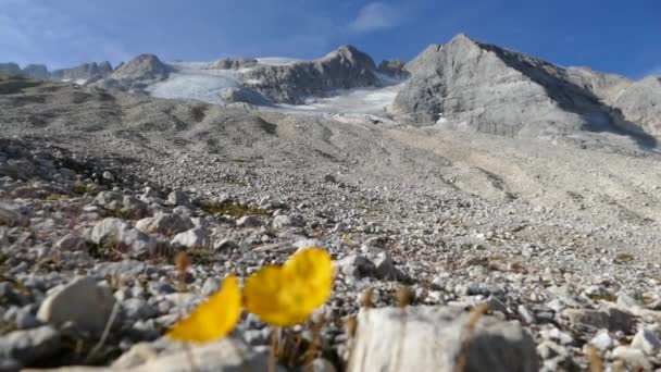 Vacker sommar aktiv semester i Dolomiterna — Stockvideo