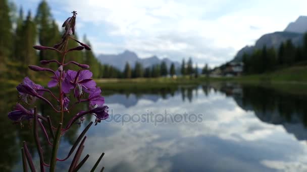 Piękne lato aktywny wypoczynek w Dolomitach — Wideo stockowe