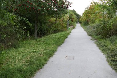 kaldırım bir yeşil şehir parkı