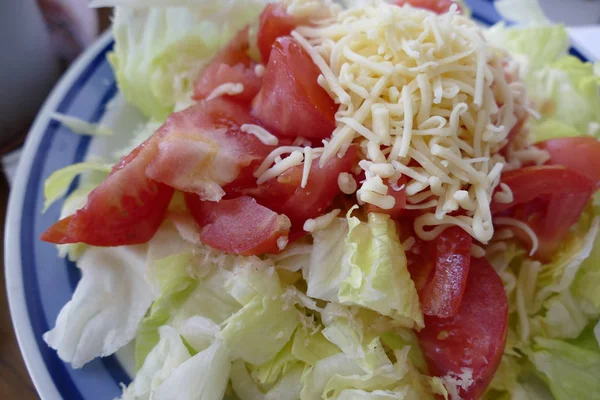 tometo ve marul taze sebze salatası