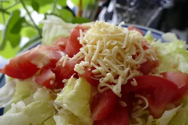 tometo ve marul taze sebze salatası