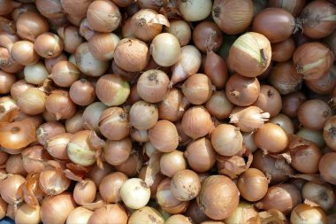 arka plan olarak birçok soğan