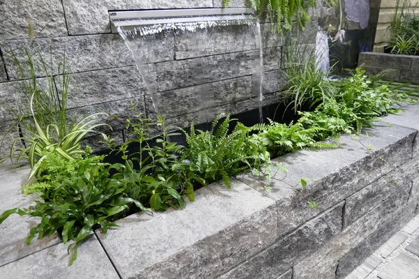 Fontaine d'eau décorative avec des plantes vertes — Photo
