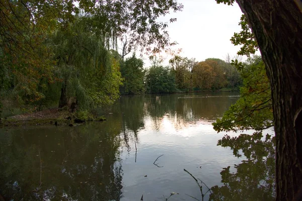 Trees reflected in a calm lake water — Stock Photo, Image