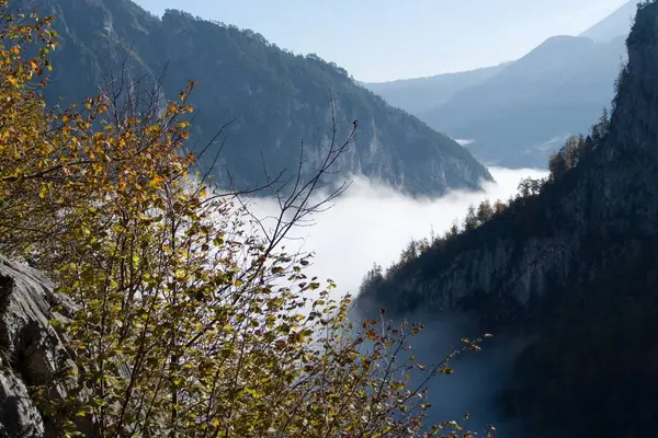 Kleurrijke herfst met ochtend mist — Stockfoto