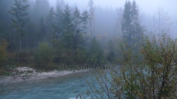 Ködös reggel egy folyó hegyi-völgy — Stock videók