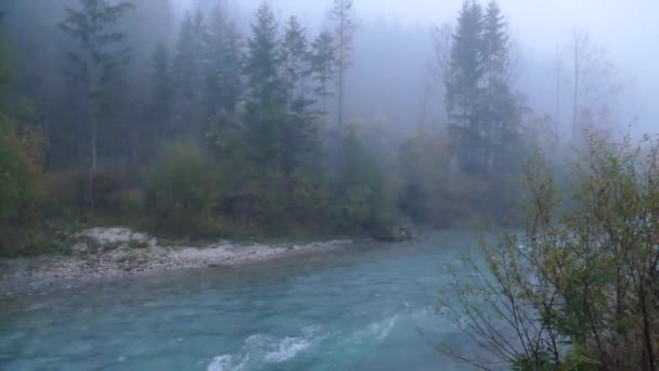 Mañana brumosa en un valle de montaña con un río — Vídeos de Stock