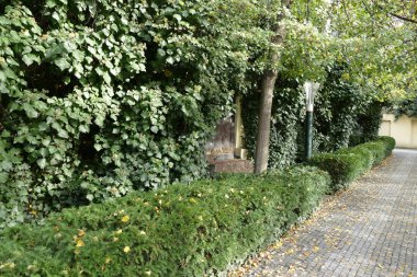 sakin bir şehir parkı köşesinde
