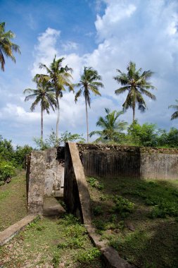 harabe savaş Bunker Zanzibar ormanda