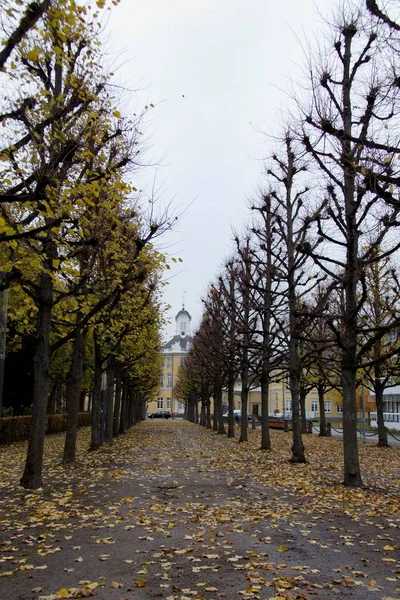 Πάρκο το schloss kerlsruhe στη Γερμανία — Φωτογραφία Αρχείου
