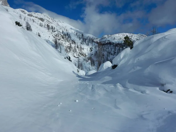 Natureza de inverno no parque nacional de Triglav — Fotografia de Stock