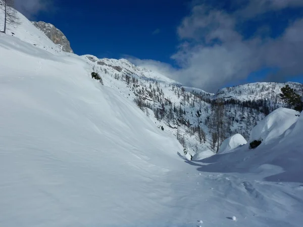 Winter natuur in Triglav Nationaal park — Stockfoto