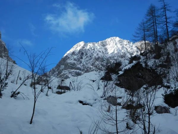 Naturaleza invernal en el parque nacional de Triglav — Foto de Stock