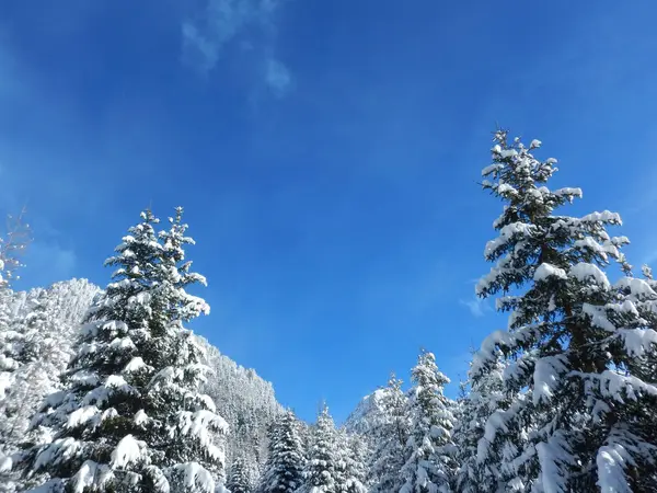 Prachtige winterlandschap in de Alpen — Stockfoto
