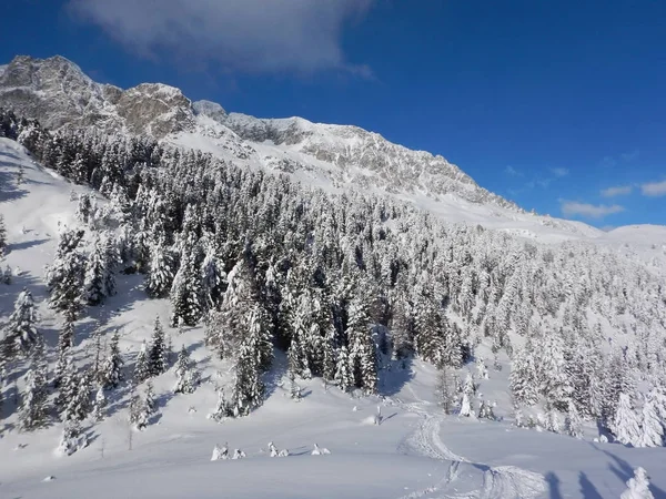 Bela paisagem de inverno nos alpes — Fotografia de Stock