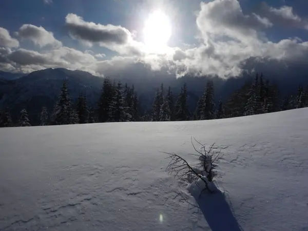 Красивий зимовий пейзаж в Альпах — стокове фото
