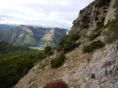 kayalık arazide vahşi dağ keçisi