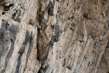 el Chorro Andalusia içinde etrafında güzel kayalık bölge