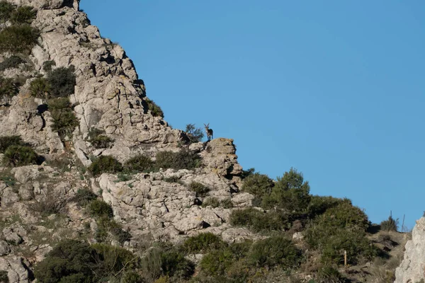 Красиві скелясті області навколо el Chorro в Андалусії — стокове фото