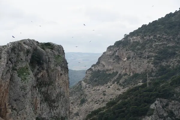 Kaunis kivinen alue ympärillä el Chorro Andalusiassa — kuvapankkivalokuva