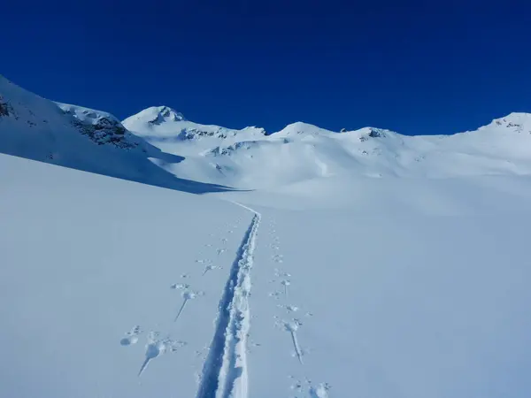 Skitouring güzel karlı Alpleri'nde — Stok fotoğraf