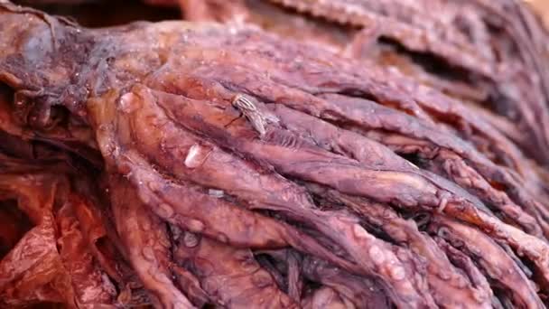アフリカの伝統的な食品市場の生蛸 — ストック動画