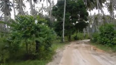 Afrika zanzibar de boş bir yol sürüş