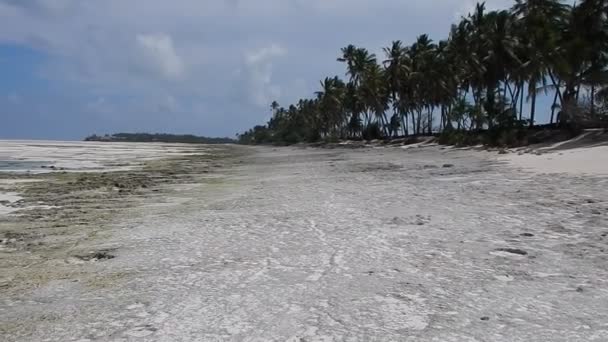 Krásné Pobřeží Písečnou Pláž Klidné Moře Zanzibar — Stock video