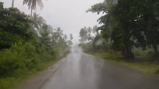 Bir Araba Yolda Ağır Bir Yağmur Altında — Stok video