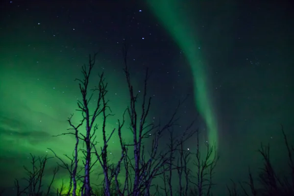 Schöne Nordlichter über Lappland in Finnland — Stockfoto