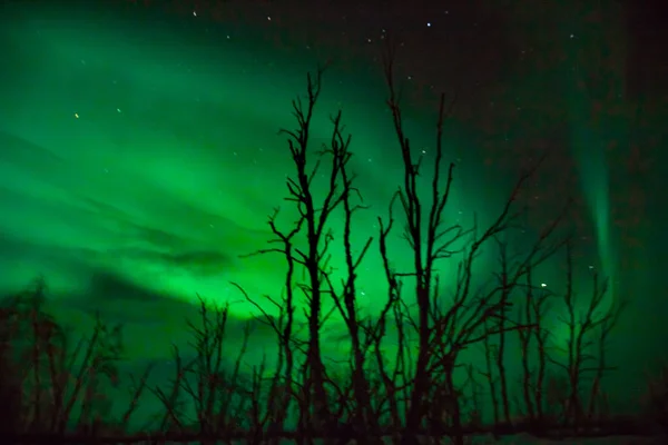 Beautiful northern lights over lappland in finnland — Stock Photo, Image