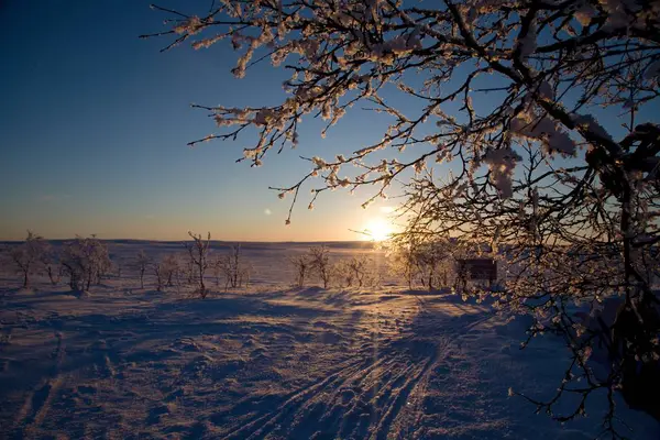 Красиві заморожені дерева на північній планці — стокове фото