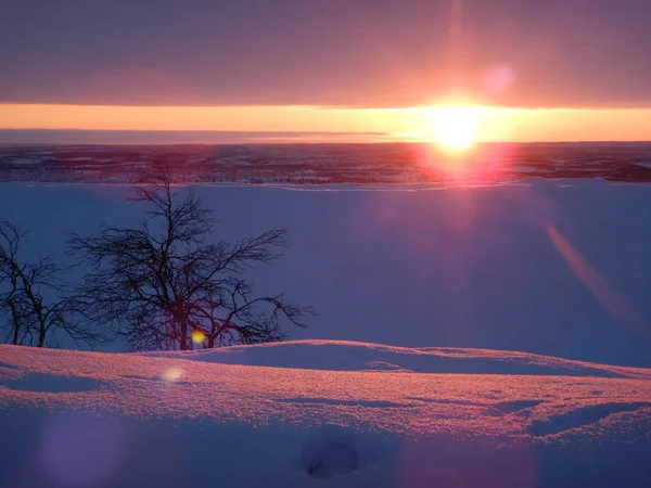Vackra frysta träd i norra lappland — Stockfoto
