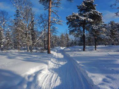 Kuzey lapland güzel doğada Kayak macera sürüü