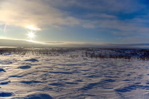 Kuzey Lapland Güzel Doğada Kayak Macera Sürüü — Stok fotoğraf
