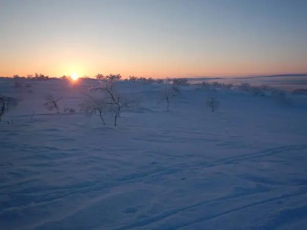 Пригодницькі Перехрестя Лижі Північній Площині Красива Природа — стокове фото