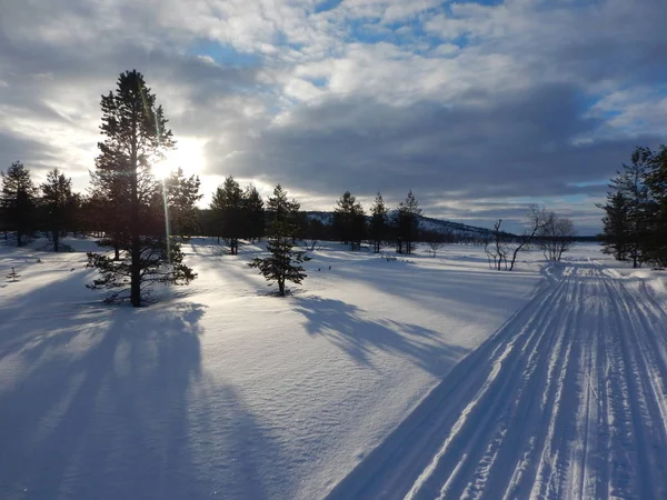 Avontuur Crosscountry Skiën Noord Lapland Schitterende Natuur — Stockfoto