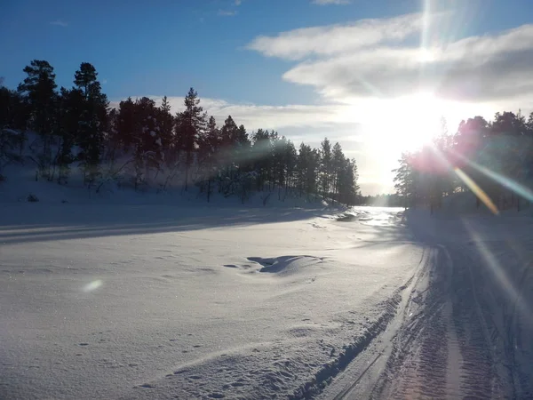 Avontuur Crosscountry Skiën Noord Lapland Schitterende Natuur — Stockfoto