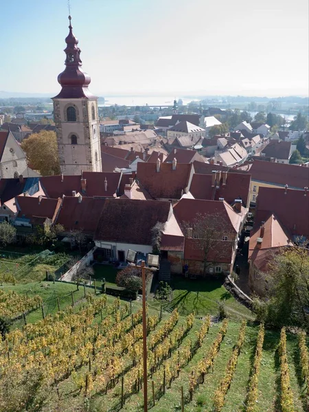 Vista del castillo en ptuj en slovenia —  Fotos de Stock
