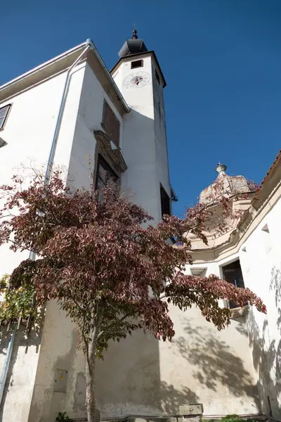 Blick auf die Burg in Ptuj in Slowenien — Stockfoto