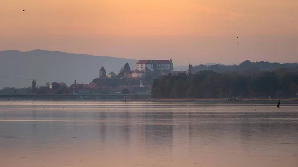 Kilátás nyílik a vár ptuj a slovenia — Stock Fotó
