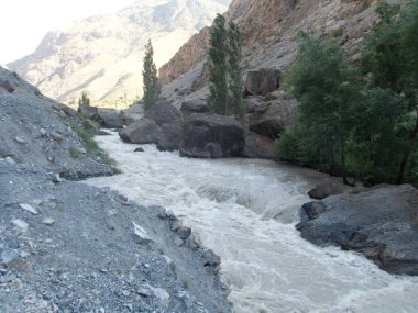 Dağlarda çok fazla su olan vahşi bir vidal.